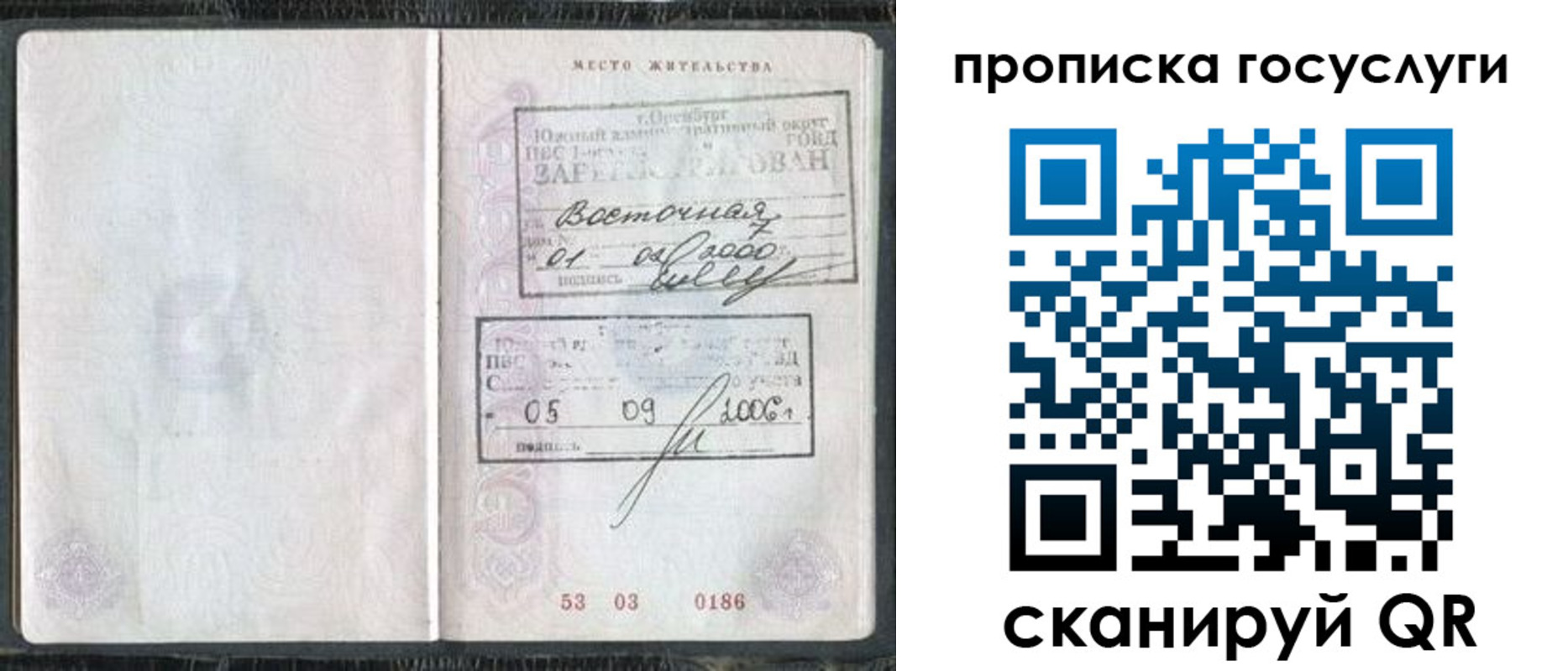 временная регистрация для школы в Ермолино